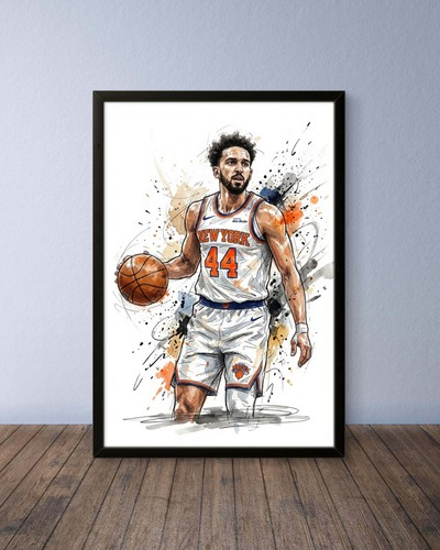 Landry shamet new york knicks - new,
