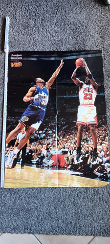 Jordan pippen basketball nba - pippen,