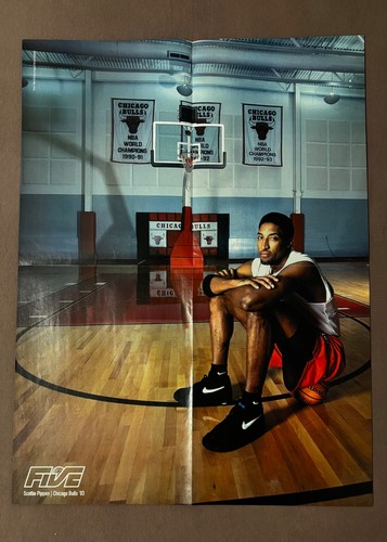 Nba vintage poster scottie - nba,