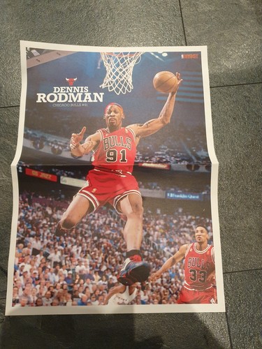 Nba basketball poster denis - basketball,