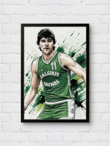 Arvydas sabonis zalgiris - arvydas,