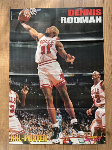 Dennis rodman chicago bulls - rodman,